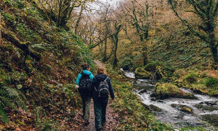 Walking in Coed Nant Gwernol, Dyfi Forest